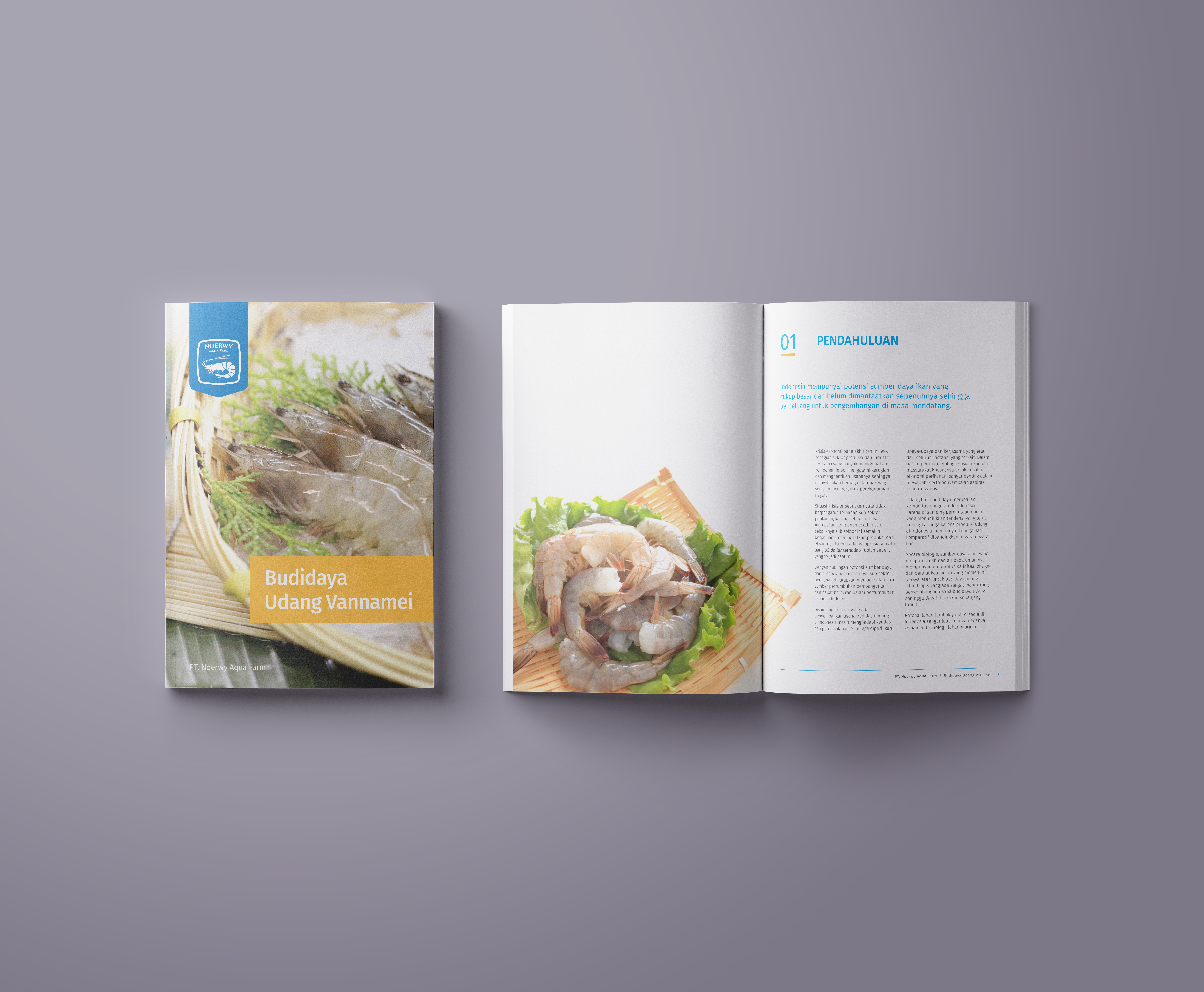Book/magazine project 04
